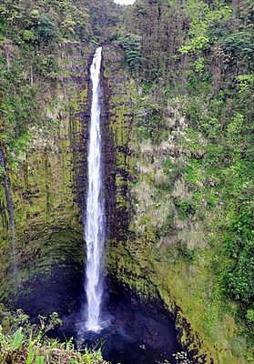 Akaka Falls (c) Brigitte Fugger