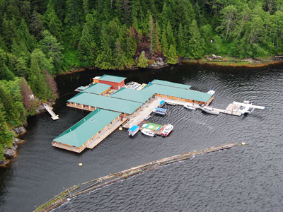 Bären-Beobachtung nahe der Knight-Inlet-Lodge