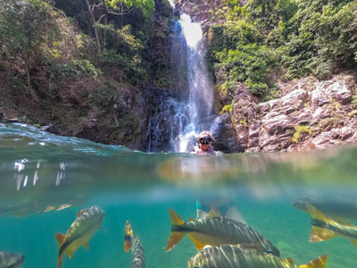 Bunte Fische bei Nobres in Brasilien