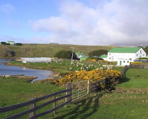 Sea Lion Lodge auf Sea Lion Island