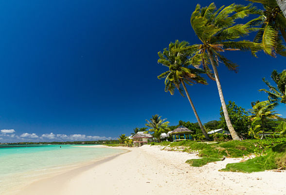 Ein tropischer Strand in Tonga mit Palmen, weißem Sand und türkisfarbenem Wasser unter blauem Himmel