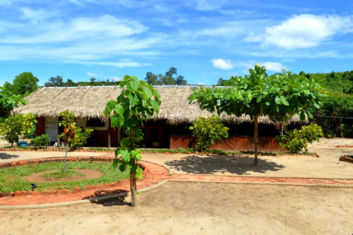 Blue Vanga Lodge