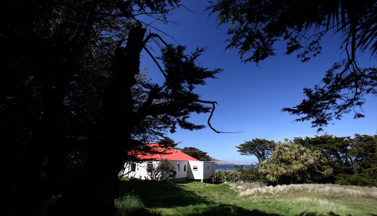 Weißes Haus mit rotem Dach auf Carcass Island, umgeben von Bäumen und Wiesen mit Blick auf das Meer